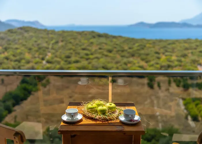 Mojo Sunset Boutique