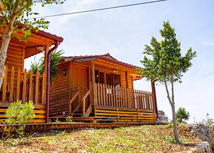 酒店 Mojo Sunset Boutique 5*