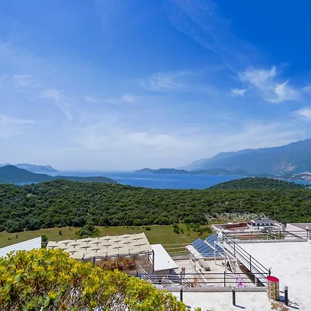 فندق Mojo Sunset Boutique