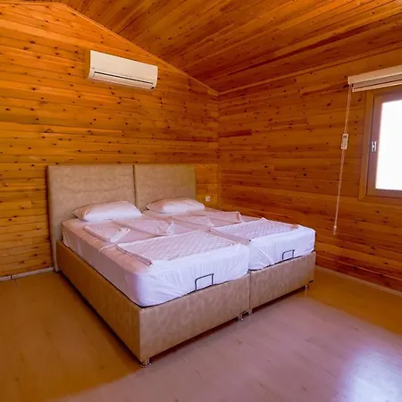 فندق Mojo Sunset Boutique