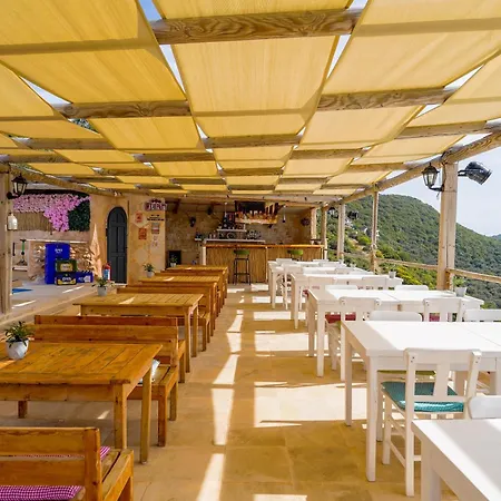 Mojo Sunset Boutique