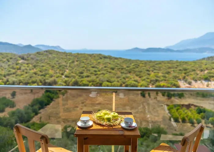 Hotel Mojo Sunset Boutique 5*